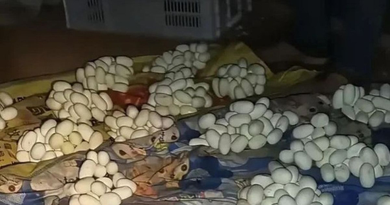 Xa nhà nửa năm, cửa vẫn khóa kín, nam thanh niên trở về rồi chết lặng khi phát hiện thứ 