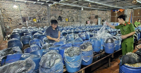 'Nước kẹo' ủ gần 1.000 tấn giá đỗ gây nguy hại ra sao tới sức khỏe?