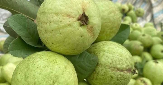 Hai loại trái cây giá rẻ tốt cho người huyết áp cao