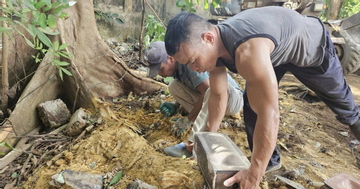 Phát hiện gần 40 hài cốt thai nhi nằm rải rác ở các gốc cây, bờ tường tại Ninh Bình
