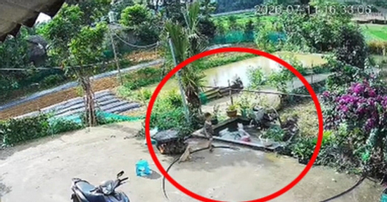Bé trai 4 tuổi ở Tuyên Quang hô hoán, cứu em gái 2 tuổi thoát khỏi đuối nước