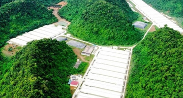 5 người tử vong trong vụ tai nạn tại trang trại lợn ở Thanh Hóa