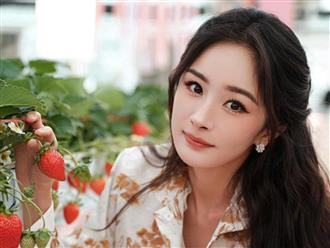 Trúng số độc đắc vào sau ngày 14/8/2026, 3 con giáp tiền của dư dôi, tài lộc nối đuôi nhau chạy vào nhà, sự nghiệp phất lên trông thấy
