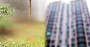 Mẹ tỉnh dậy không thấy con trai 6 tuổi đâu, 26 phút sau phải chứng kiến cảnh tượng đau lòng