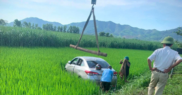 Tài xế ô tô nghi đột quỵ tử vong khi đang chở khách, xe lao xuống ruộng