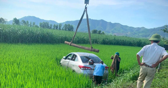 Tài xế ô tô nghi đột quỵ tử vong khi đang chở khách, xe lao xuống ruộng