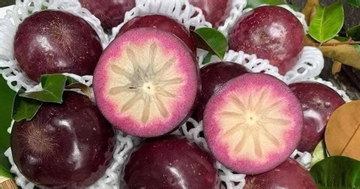 Loại quả 'vàng' cho người cao huyết áp, mỡ máu