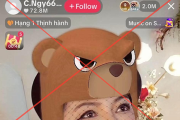 Vì sao TikTok khoá phiên livestream của bà Nguyễn Phương Hằng?