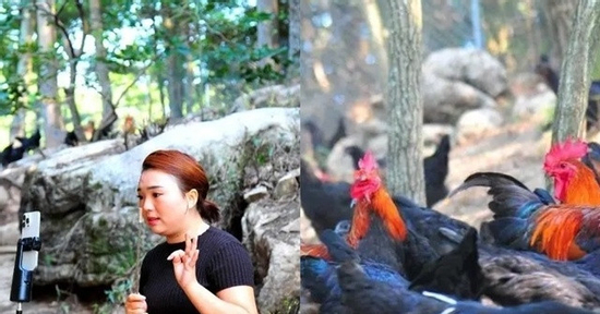 Cô gái về quê làm giàu với 'gà tập gym', tạo việc làm cho hàng trăm người