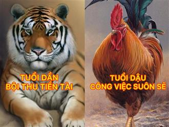 Đúng thứ Hai 21/9/2026, 3 con giáp khai thông vận mệnh, phước lộc đầy nhà, sự nghiệp thăng tiến 'bứt tốc như rồng'