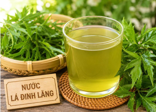 Ai không nên uống nước lá đinh lăng?