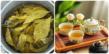 Uống nước lá vối mỗi ngày có giúp giảm cân?