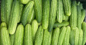2 nhóm người nên thận trọng khi ăn dưa chuột