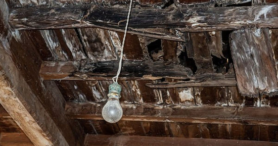 Phát hiện hài cốt trẻ sơ sinh dưới sàn căn hộ cổ tại Anh, có 1 chi tiết khiến cuộc điều tra trở nên ám ảnh