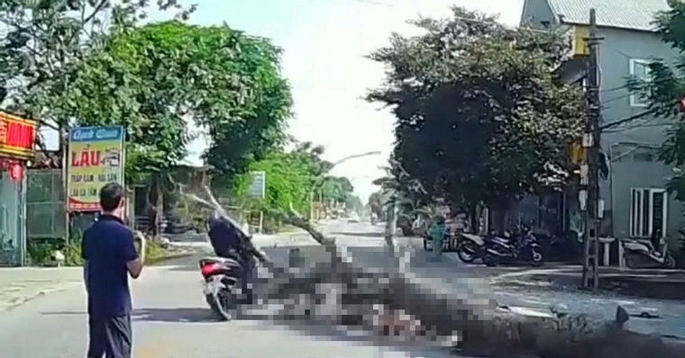 Cưa cây ven đường, cây đổ khiến người đi xe máy tử vong